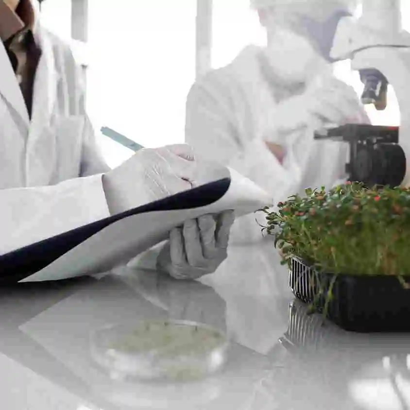 Rooh Etibb herbal research and laboratory quality testing