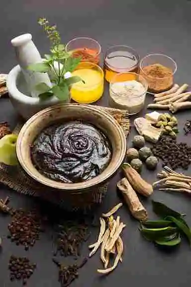 Unani herbal ingredients used in Roohetibb wellness formulations